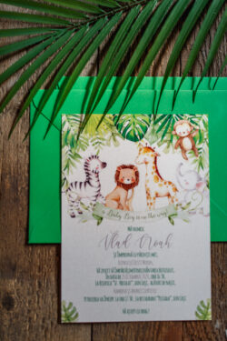 Invitatie Botez- Safari