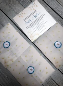 Invitatie Botez - Mouse - imagine 2