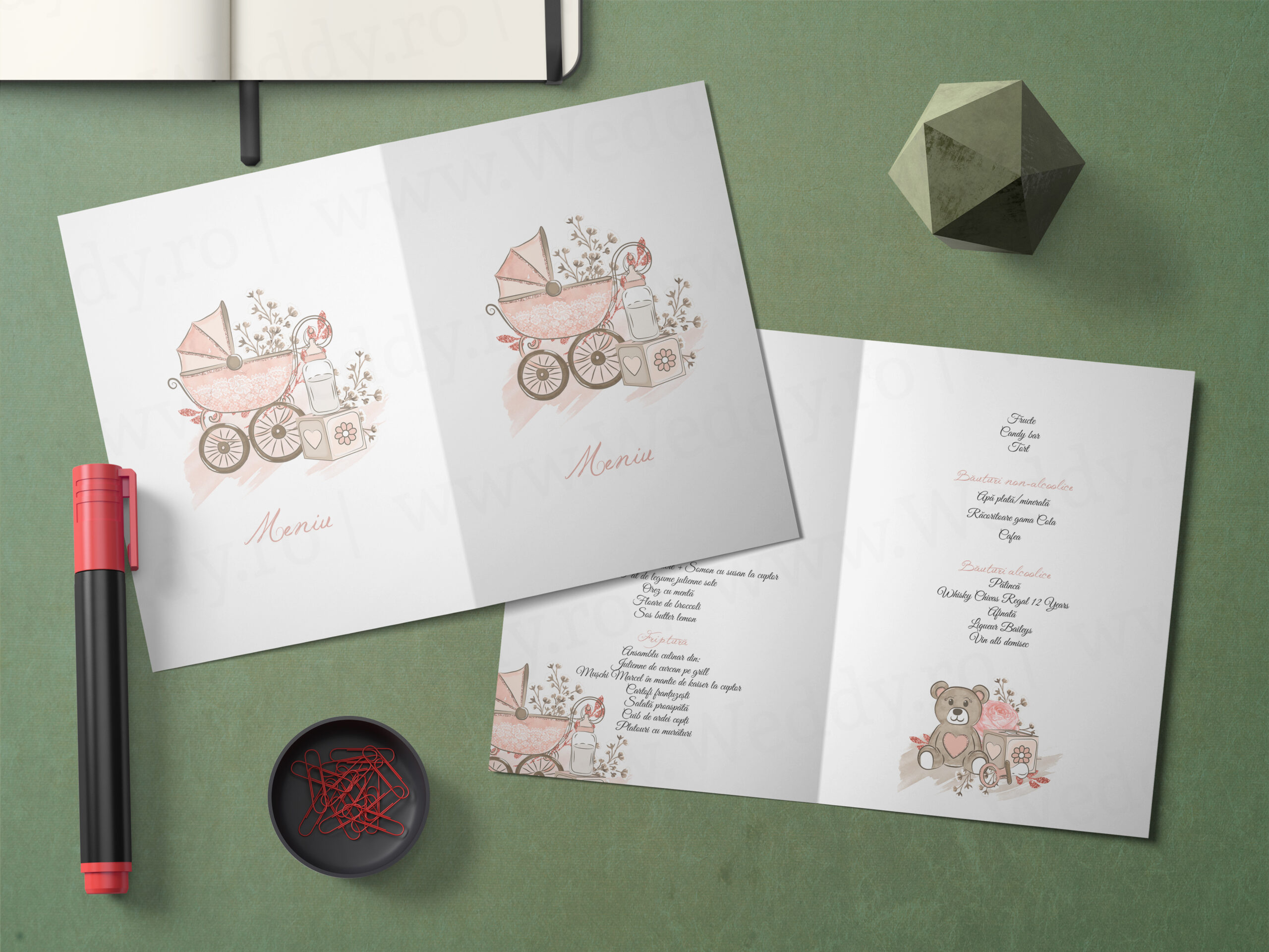 Meniu Mockup - Trolley Baby Girl Meniu A5 - Tip carte - Trolley Baby Girl - imagine 1