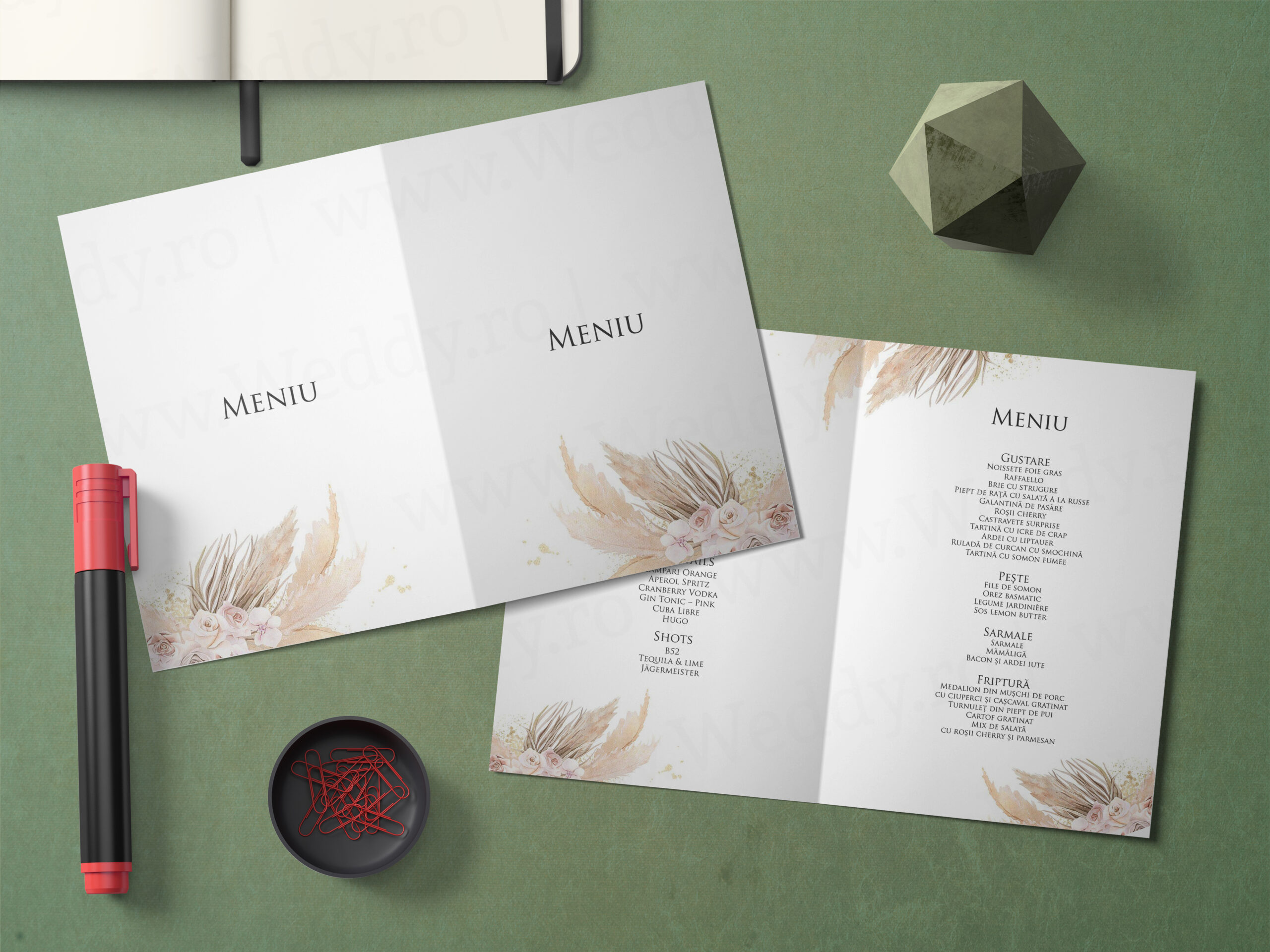 Meniu Mockup - pampas Meniu A5 - Tip carte - Pampas - imagine 1