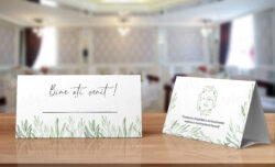 Plic pentru bani - Olive Tree