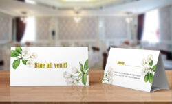 Plic pentru bani - Green & White